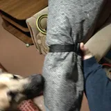 Pet Parent review photo