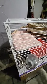 Pet Parent review photo