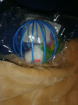 Pet Parent review photo