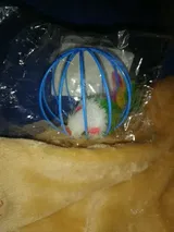Pet Parent review photo