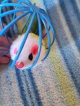Pet Parent review photo