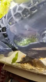 Pet Parent review photo