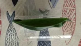 Verified Buyer review photo