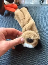 Pet Parent review photo