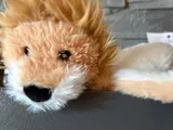 Happy Customer review photo