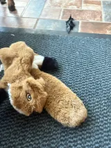 Pet Parent review photo