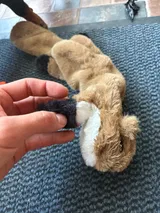 Pet Parent review photo