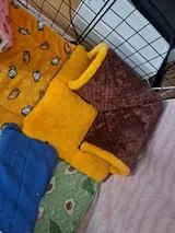 Happy Customer review photo