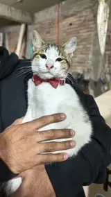 Pet Parent review photo