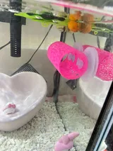 Happy Customer review photo