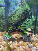 Pet Parent review photo