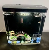 Happy Customer review photo