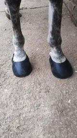 Happy Customer review photo