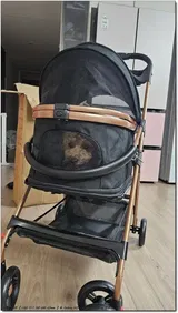 Happy Customer review photo