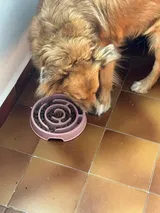Happy Customer review photo
