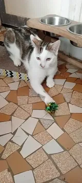 Pet Parent review photo