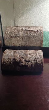 KR review photo