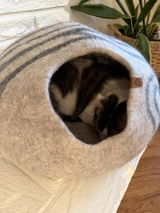 Amazon Customer review photo