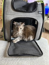 Amazon Customer review photo