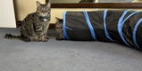 Amazon Customer review photo