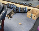 Amazon Customer review photo