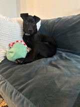 Amazon Customer review photo