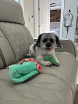 Amazon Customer review photo