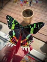 Etsy customer review photo