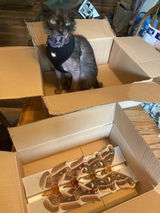 Etsy customer review photo