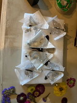 Sophiawelch review photo