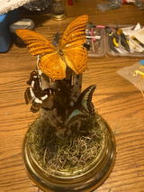 Etsy customer review photo