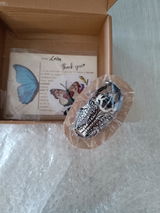 Lisa Nobili review photo