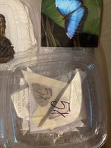 Sign in with Apple user review photo
