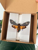 Etsy customer review photo