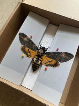 Etsy customer review photo
