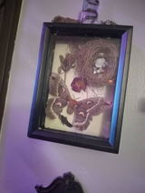 Magan Damn review photo