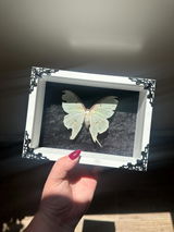 Etsy customer review photo