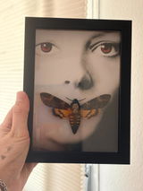 Eva review photo