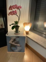 Lam review photo