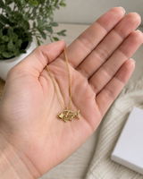 Moss review photo