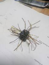 p review photo
