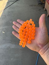 Brandon Smisek review photo