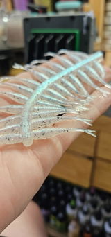 DAVE DEPAOLO - Bluline Baits review photo