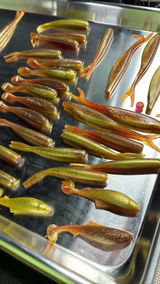 OBCD Baits review photo