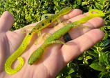 Nathan Cabe (Nasty Baits) review photo