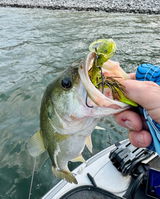Nathan Cabe (Nasty Baits) review photo