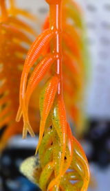 Melissa - MarshFox Lures review photo