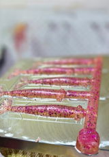 Melissa - MarshFox Lures review photo