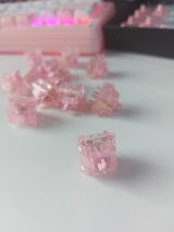 Anna L.S.F. review photo