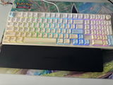 Kelp review photo